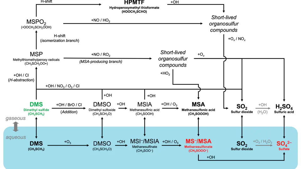 Exploring dimethyl sulfide (DMS) oxidation and implications for global aerosol radiative forcing