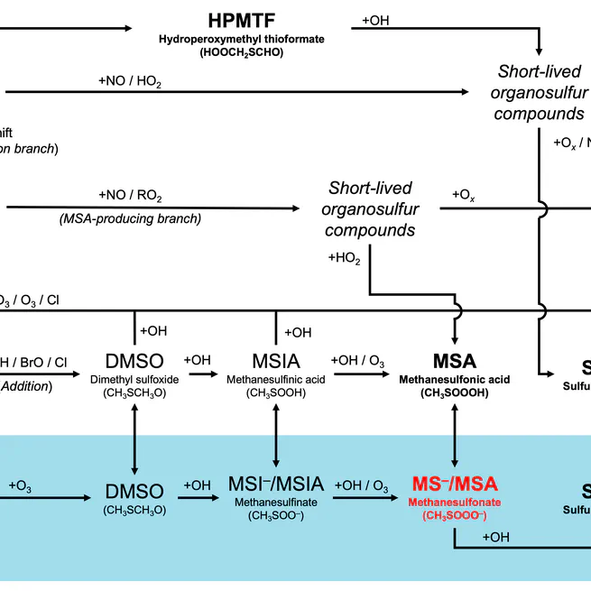 Exploring dimethyl sulfide (DMS) oxidation and implications for global aerosol radiative forcing