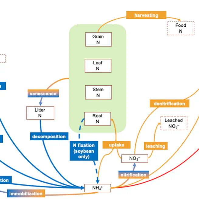 Modeling the interinfluence of fertilizer-induced ammonia emission, nitrogen deposition, and aerosol radiative effects using modified CESM2