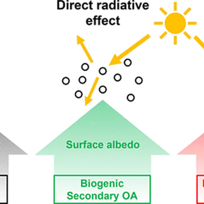 Global Health and Climate Effects of Organic Aerosols from Different Sources