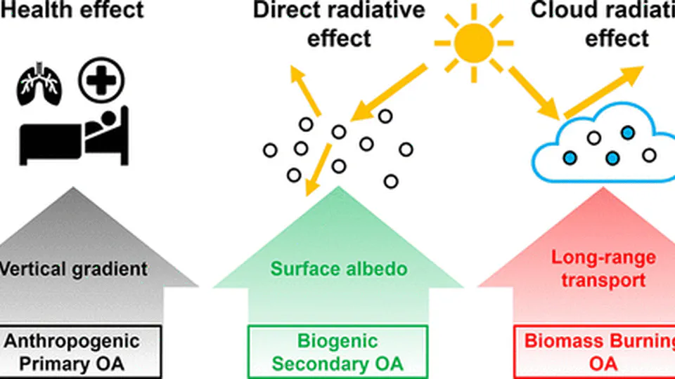 Global Health and Climate Effects of Organic Aerosols from Different Sources