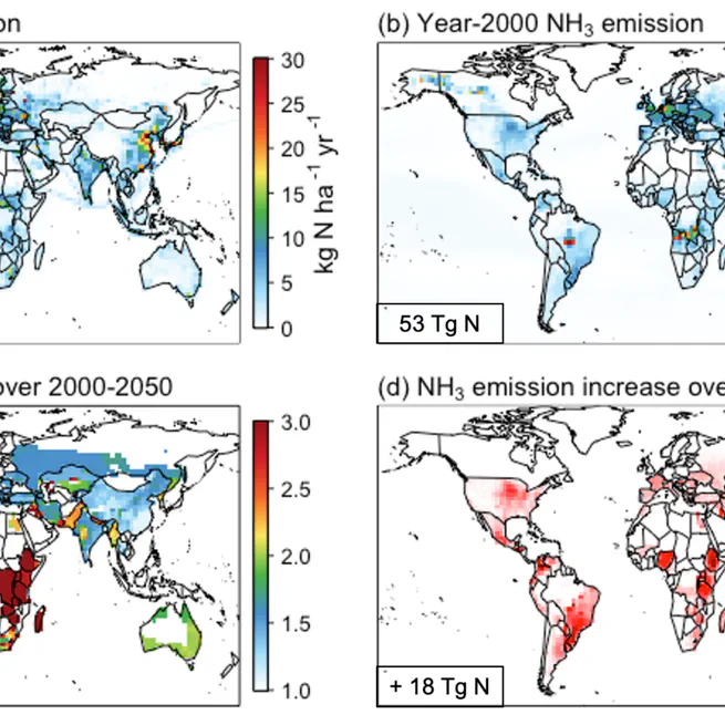 Responses of surface ozone to future agricultural ammonia emissions and subsequent nitrogen deposition through terrestrial ecosystem changes