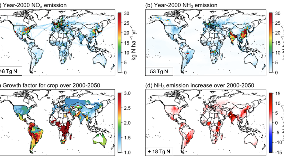 Responses of surface ozone to future agricultural ammonia emissions and subsequent nitrogen deposition through terrestrial ecosystem changes
